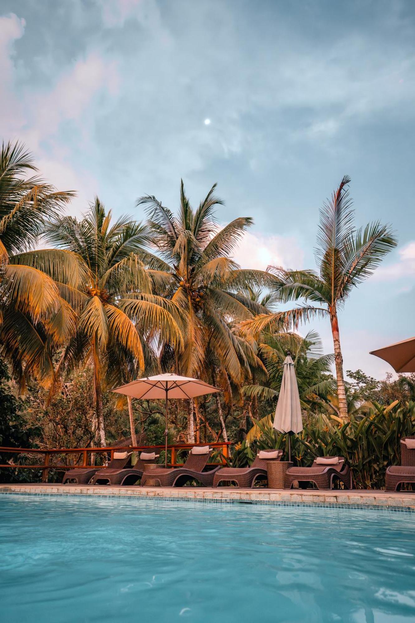 Natural Drake Bay Hotel Boutique Zewnętrze zdjęcie